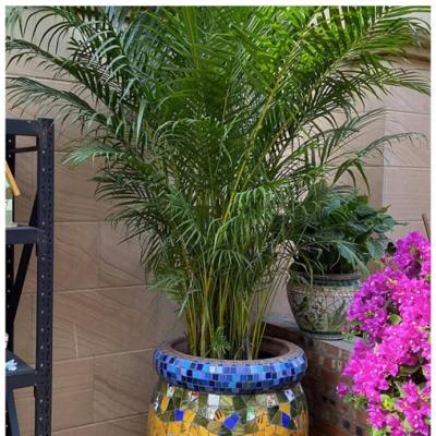 CHẬU HOA SÂN VƯỜN PHONG CÁCH BẮC ÂU CỔ ĐIỂN